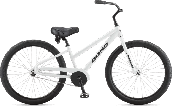 2021 Jamis Boss Cruiser Coaster