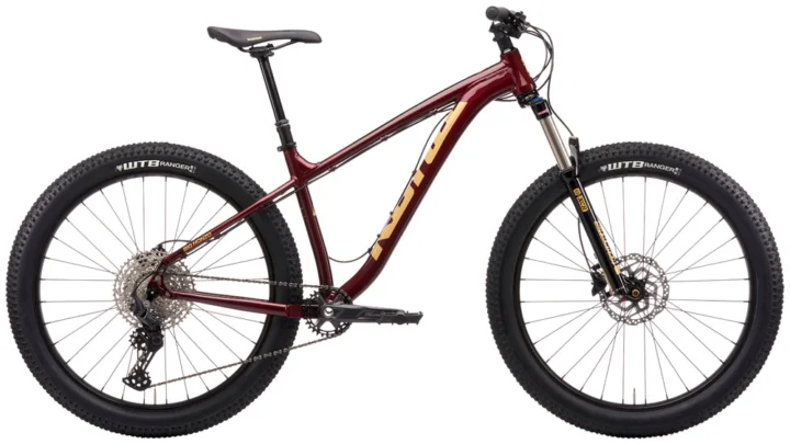 2021 Kona Big Honzo