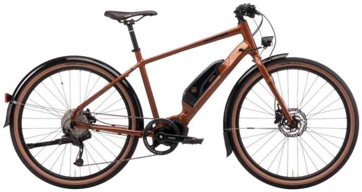 2021 Kona Dew-E