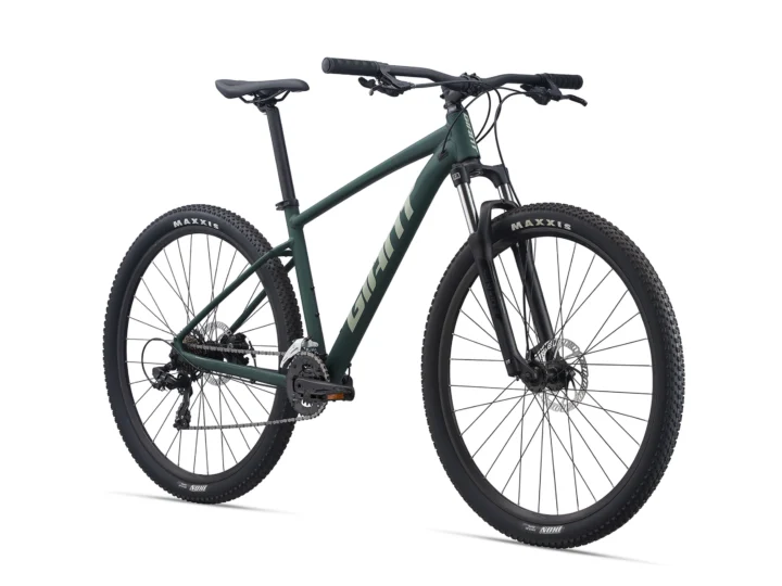 2021 Giant Talon 4