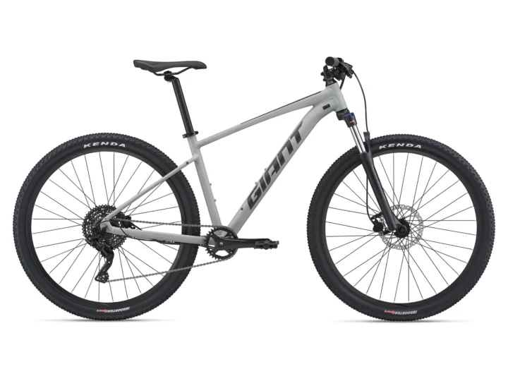 2021 Giant Talon 2