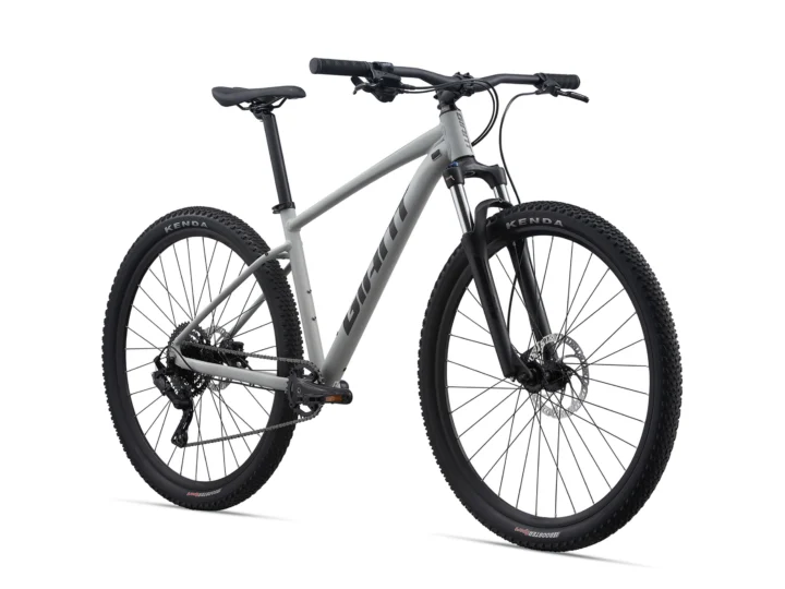 2021 Giant Talon 2