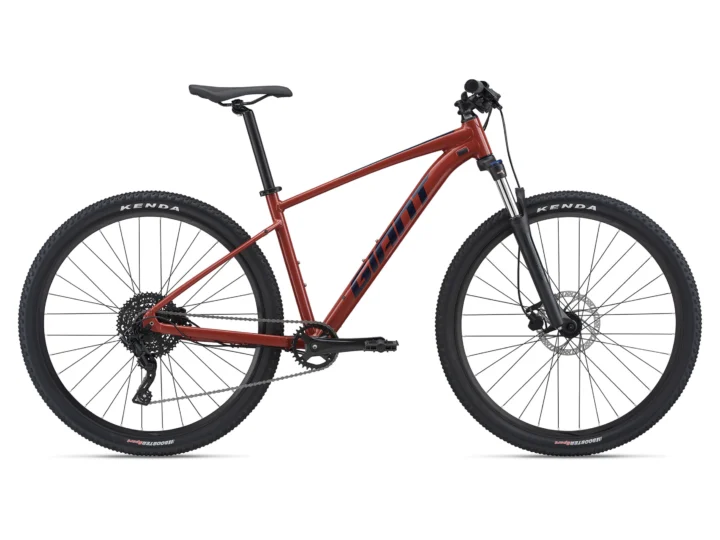 2021 Giant Talon 2