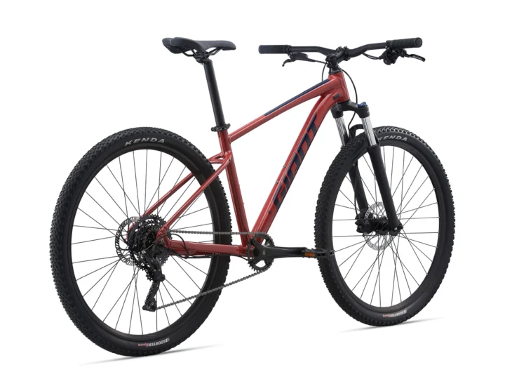 2021 Giant Talon 2
