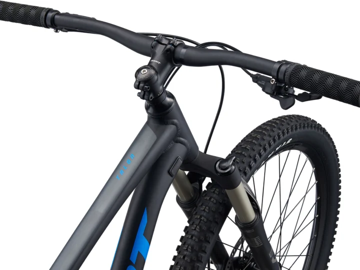2021 Giant Talon 1