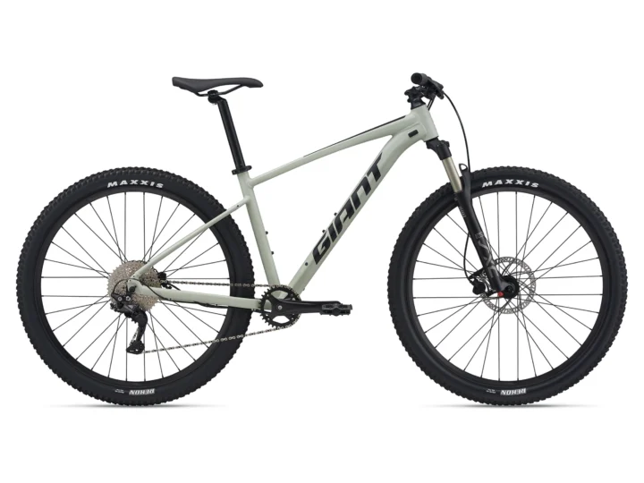 2021 Giant Talon 1