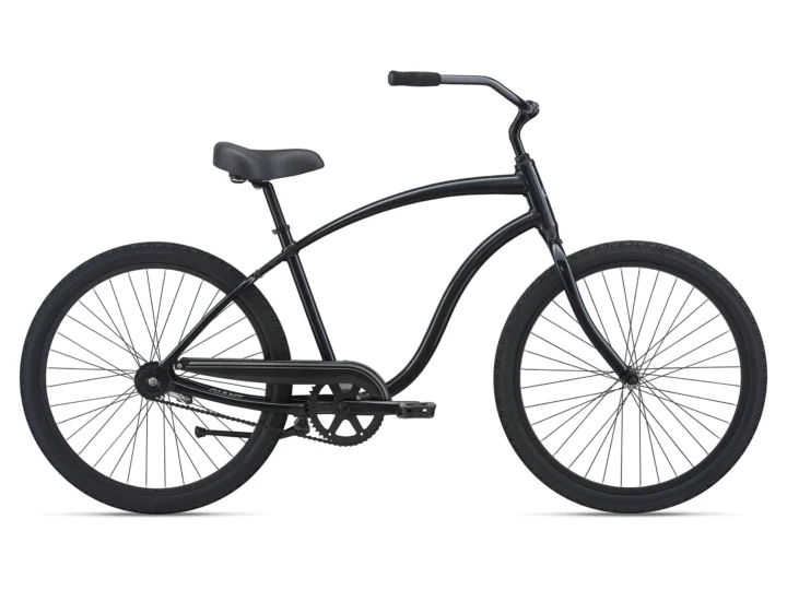 2021 Giant Simple Single