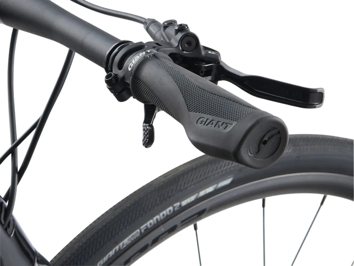 2021 Giant FastRoad Advanced 1