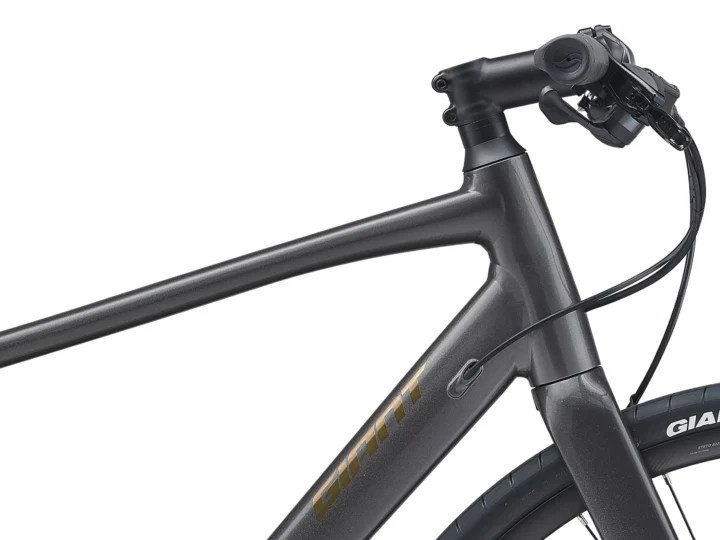 2021 Giant FastRoad SL 3