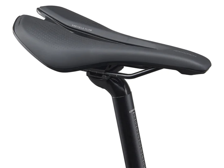 2021 Giant FastRoad SL 3