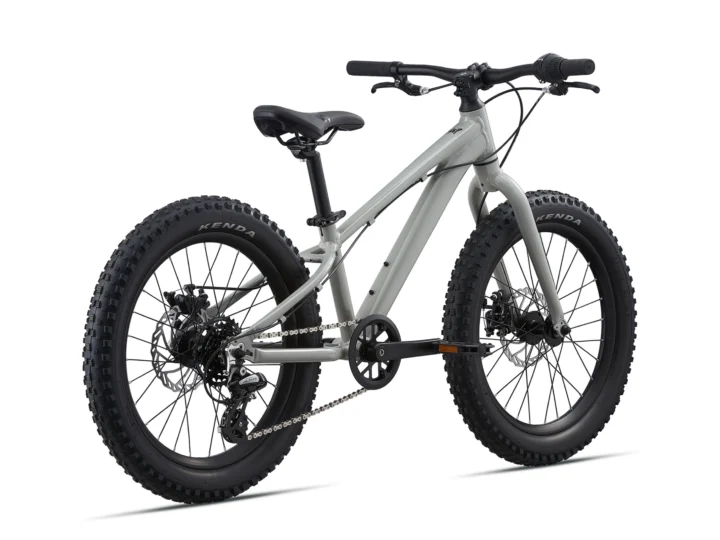 2021 Giant STP 20