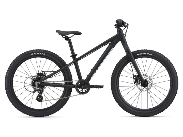 2021 Giant STP 24