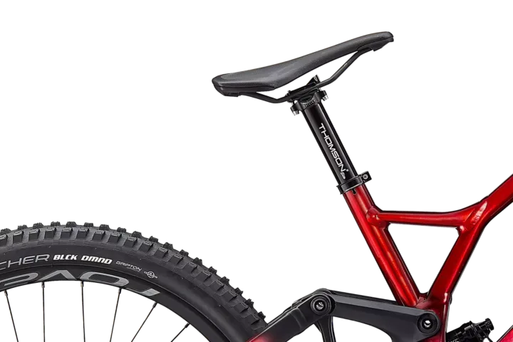 2021 Specialized Demo Race