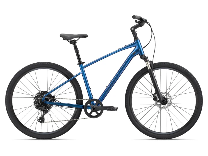 2022 Giant Cypress 1
