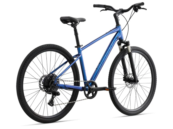 2022 Giant Cypress 1