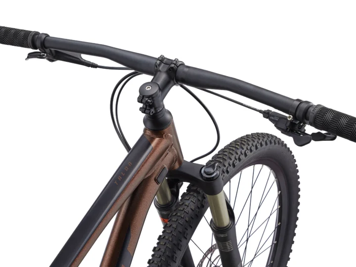 2022 Giant Talon 1