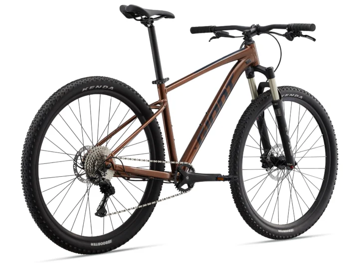 2022 Giant Talon 1