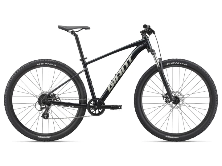 2022 Giant Talon 4