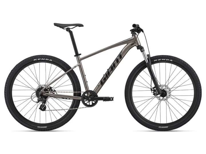 2022 Giant Talon 4