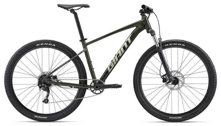 2022 Giant Talon 2