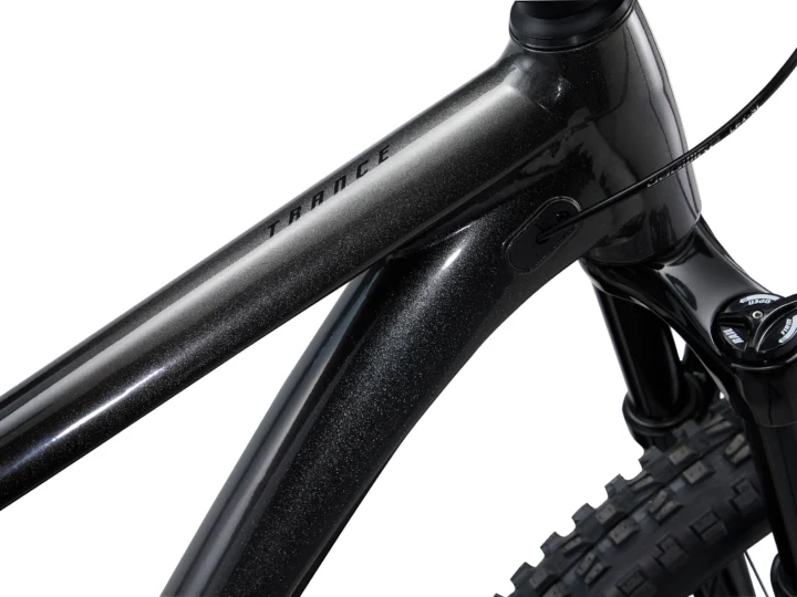2022 Giant Trance 29 2