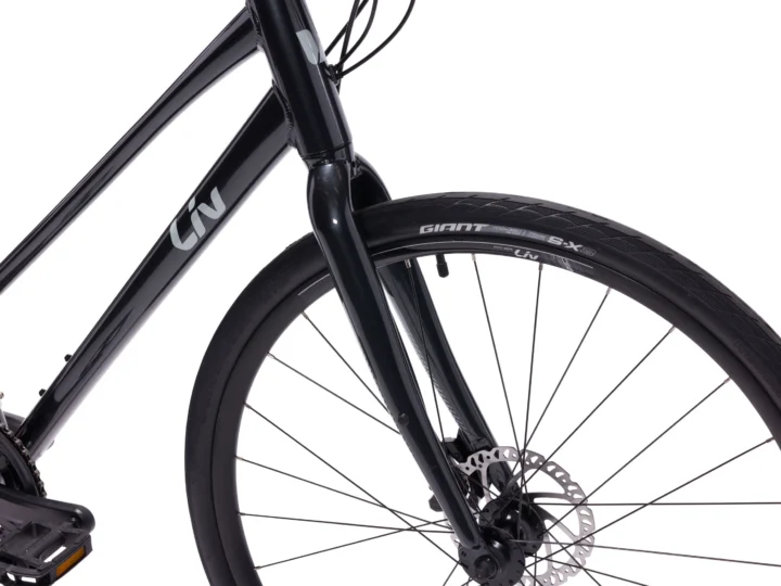 2022 Liv Alight Disc 3 (Step Through)