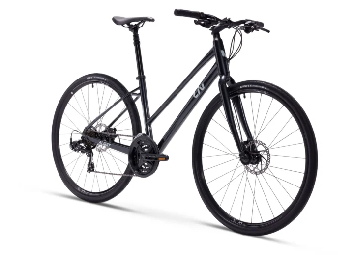 2022 Liv Alight Disc 3 (Step Through)