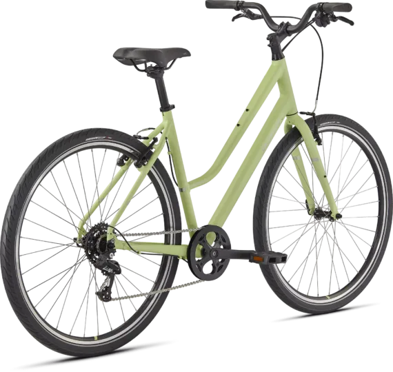 2022 Specialized Crossroads 1.0 Step Through