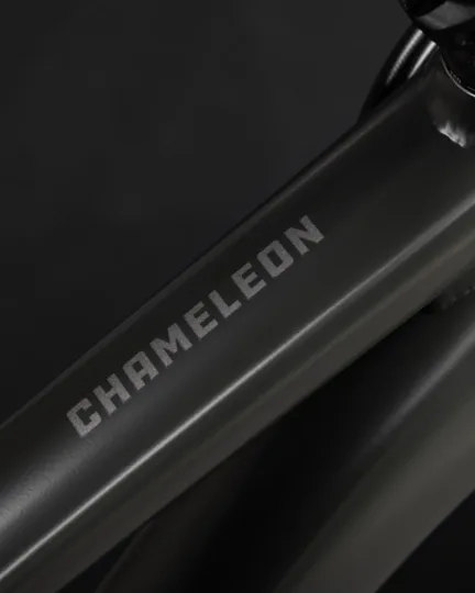 2024 Santa Cruz Chameleon R