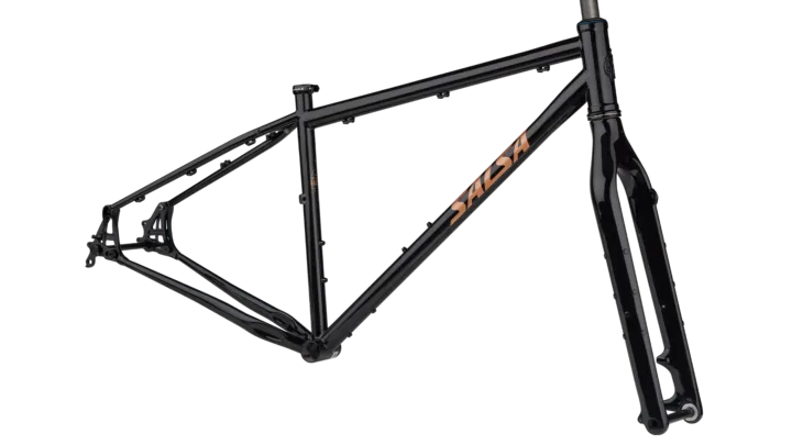 2024 Salsa Fargo Steel Frameset