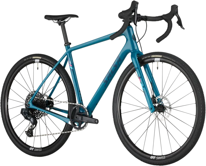 2024 Salsa Warbird C GX Eagle AXS