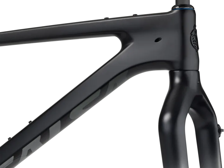 2024 Salsa Beargrease C Frameset