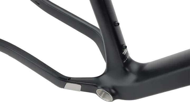 2024 Salsa Beargrease C Frameset