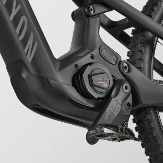 2024 Canyon Strive:ON CFR Underdog