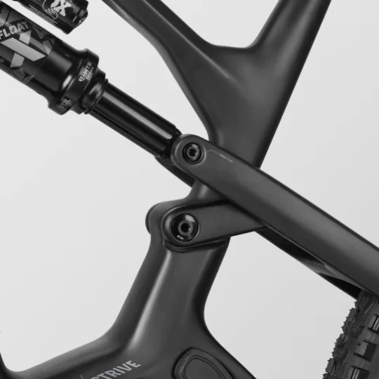 2024 Canyon Strive:ON CFR Underdog