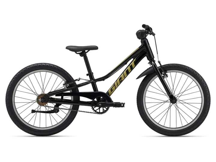 2024 Giant Talon 20 SS