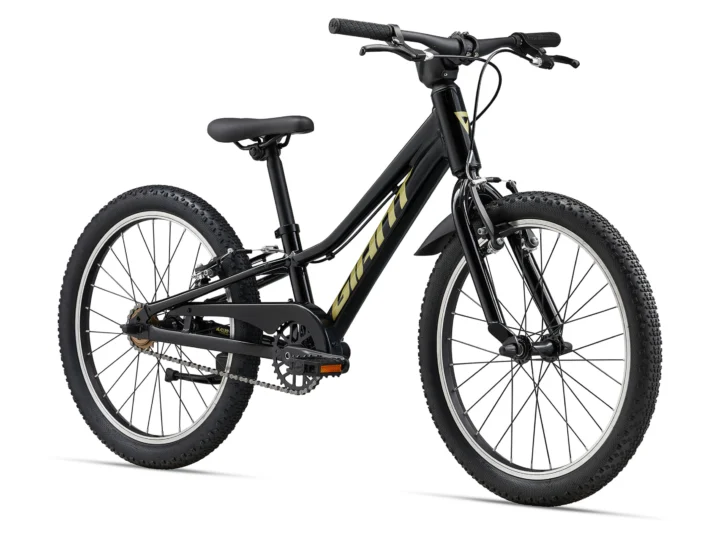 2024 Giant Talon 20 SS