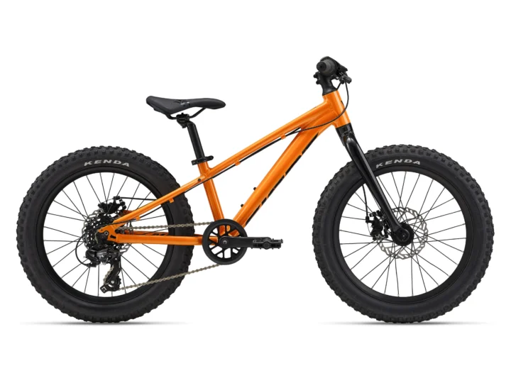 2024 Giant STP 20