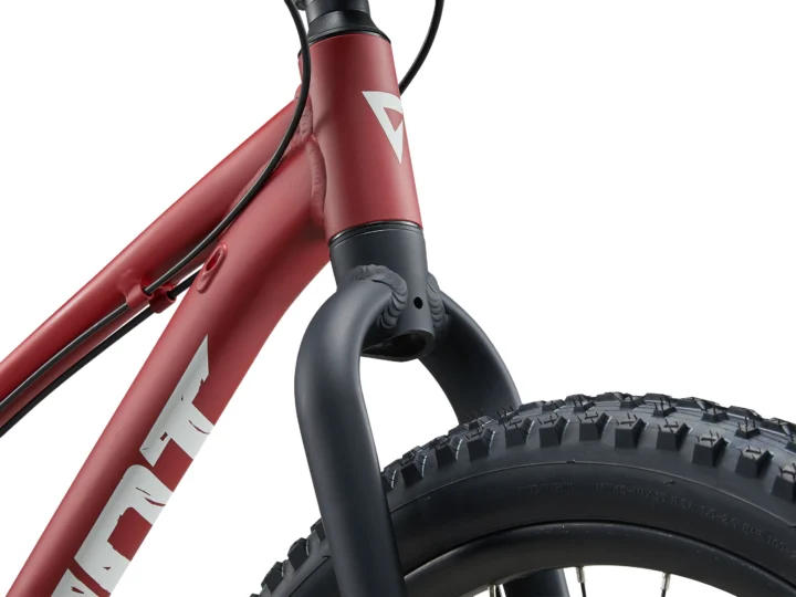2024 Giant STP 24