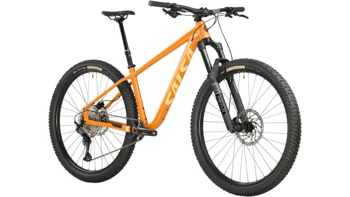 2025 Salsa Timberjack SLX 29