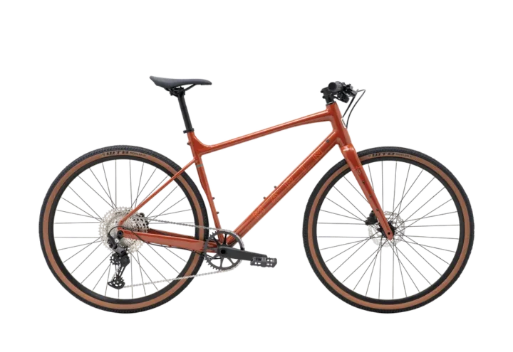 2025 Marin DSX 2