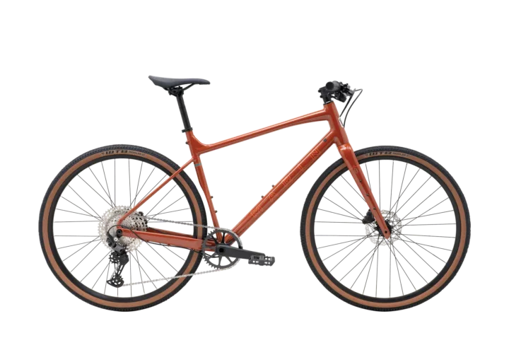 2025 Marin DSX 2