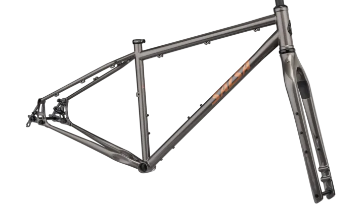 2025 Salsa Fargo Steel Frameset
