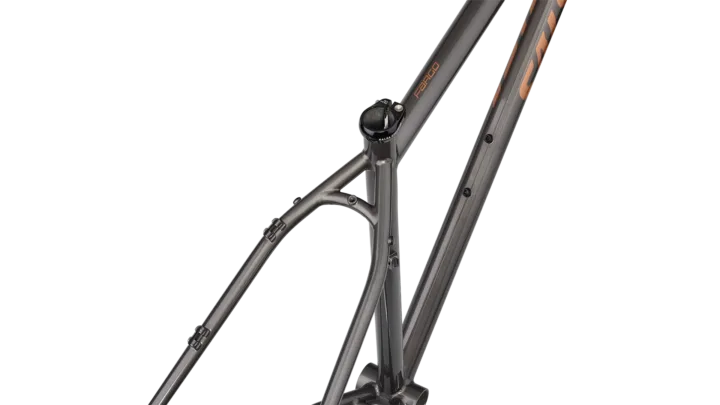 2025 Salsa Fargo Steel Frameset