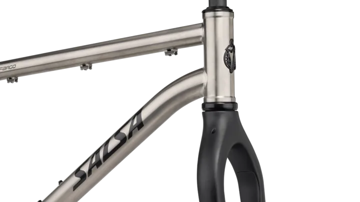 2025 Salsa Fargo Ti Frameset