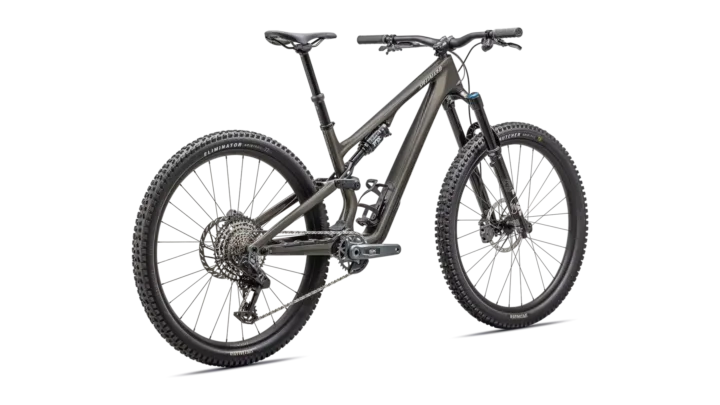 2025 Specialized Stumpjumper 15 Expert