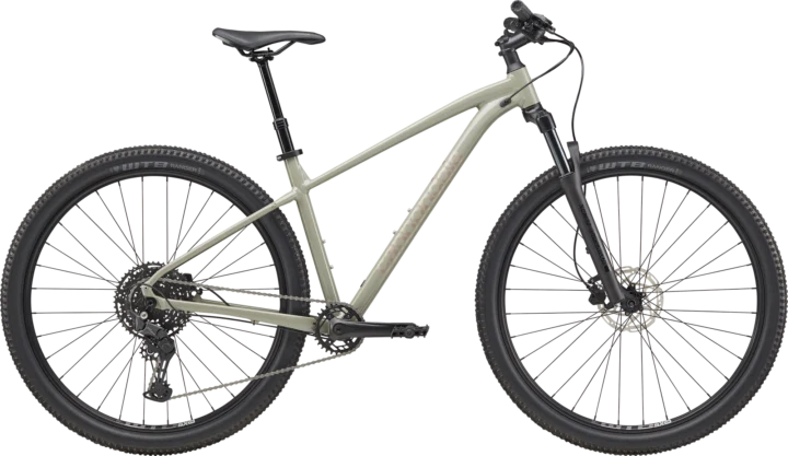 2025 Cannondale Trail 1