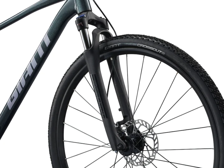 2025 Giant Roam 2
