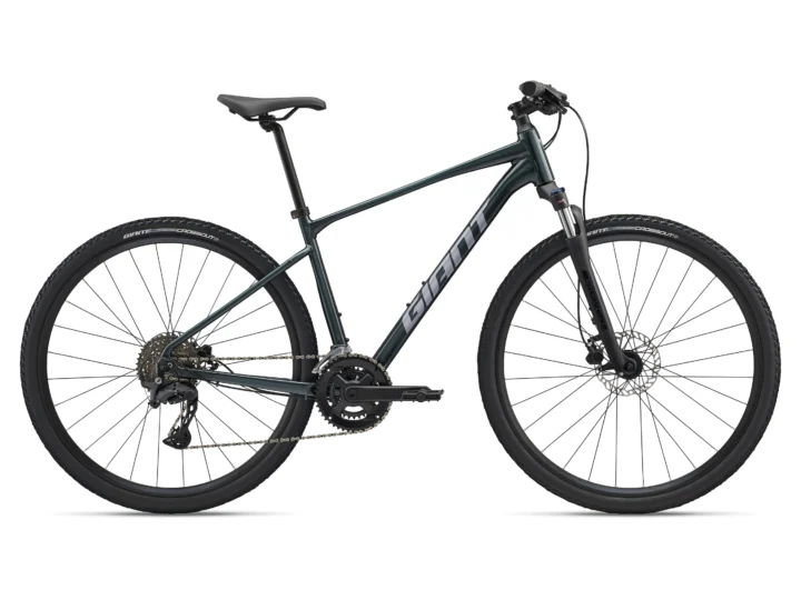 2025 Giant Roam 2