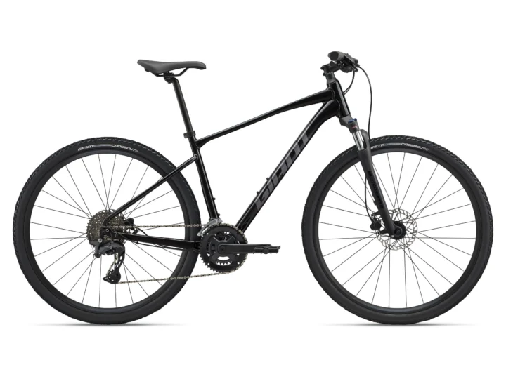 2025 Giant Roam 2